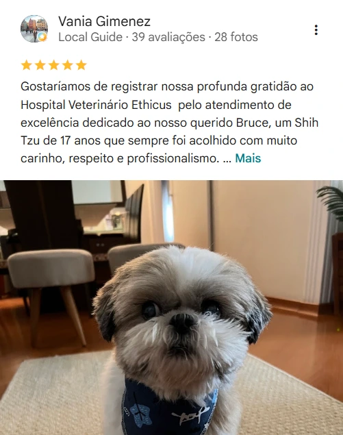 Avaliação real de tutor no Google