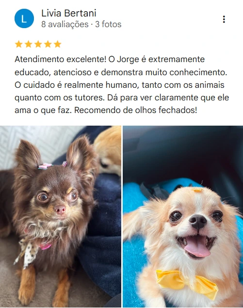 Avaliação real de tutor no Google
