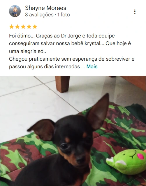 Avaliação real de tutor no Google