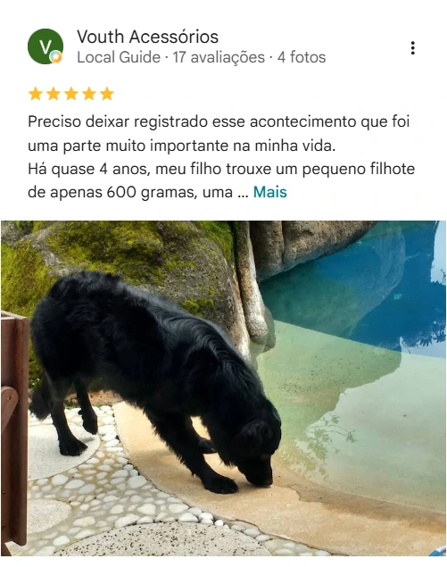 Avaliação real de tutor no Google