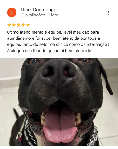 Avaliação real de tutor no Google