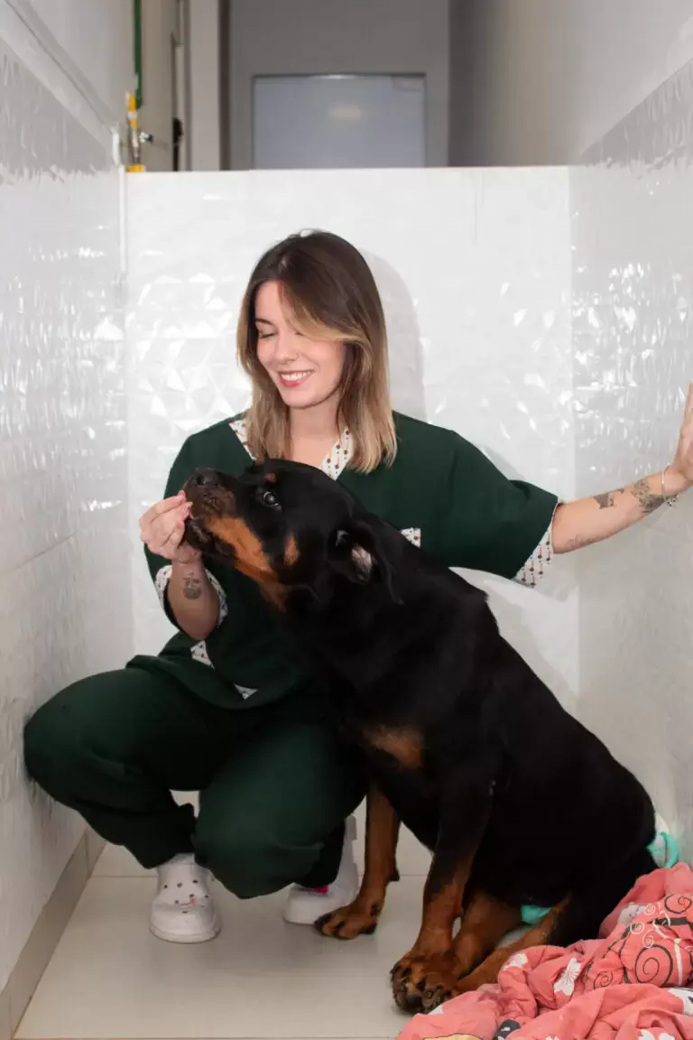 Estrutura do Ethicus Hospital Veterinário 24h