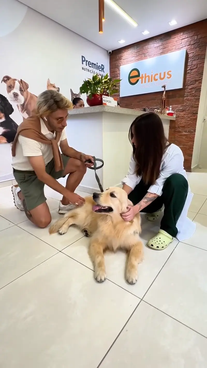 Equipe do Ethicus cuidando de um pet