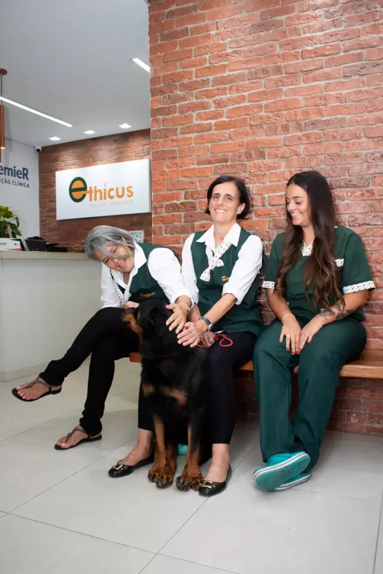Bastidores do Ethicus Hospital Veterinário